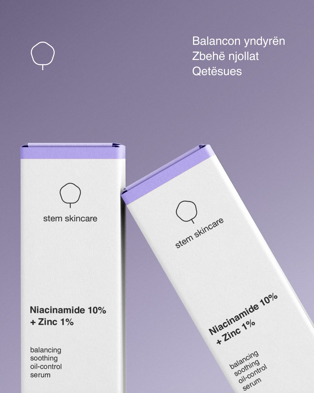 Niacinamide 10% + Zinc 1% Serum 30ml